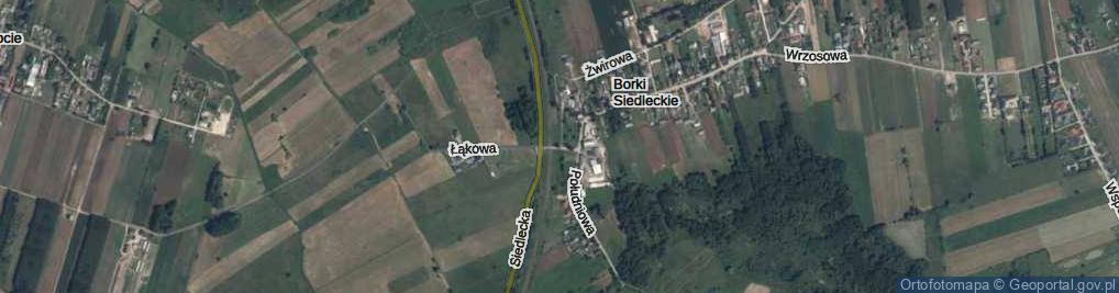 Zdjęcie satelitarne Borki Siedleckie ul.